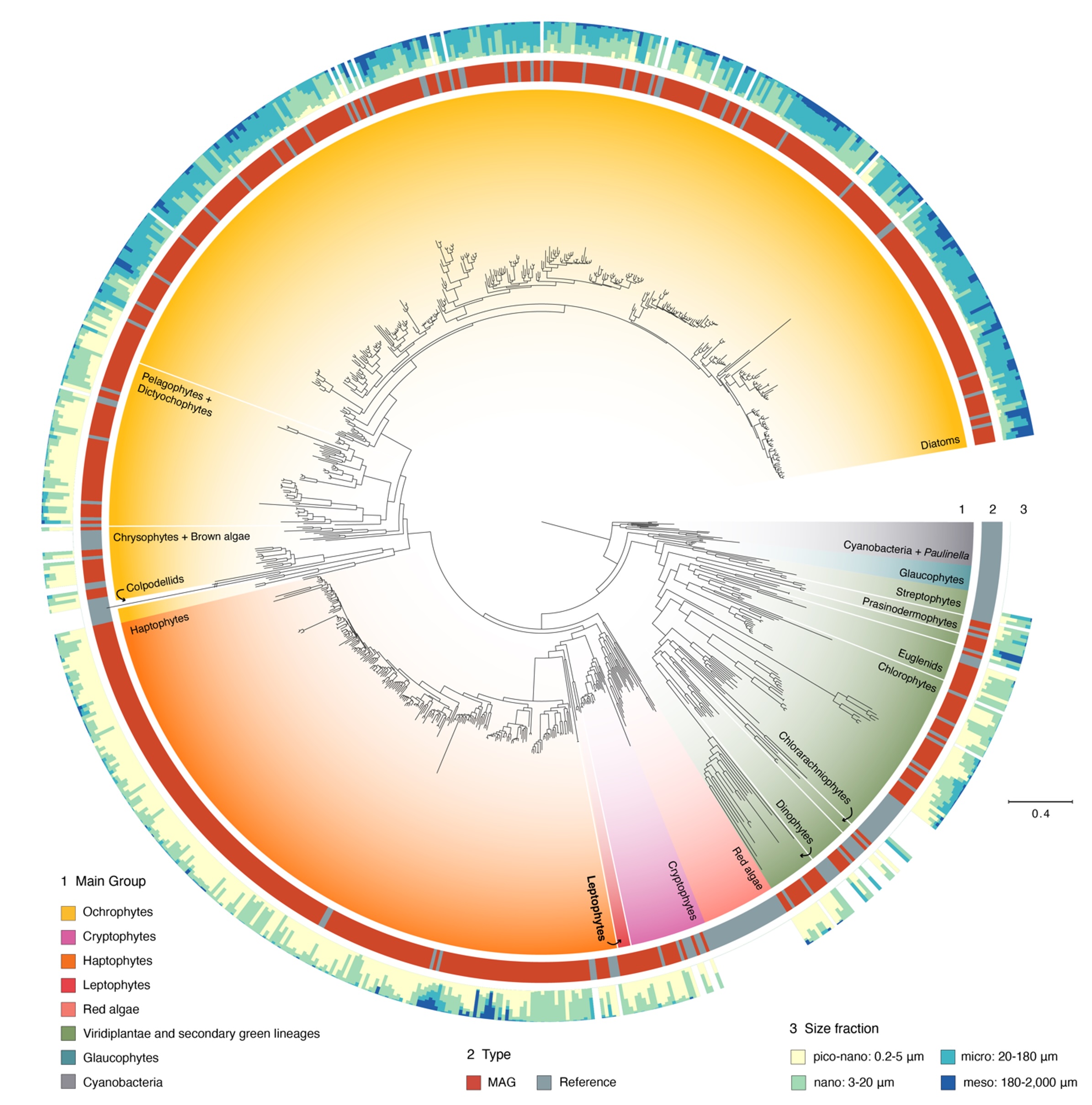 A new preprint from the lab just dropped – News