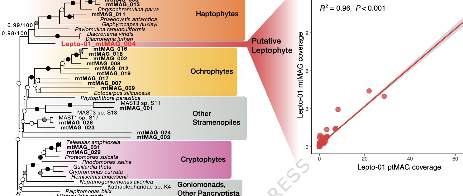 Two publications from the lab today – News